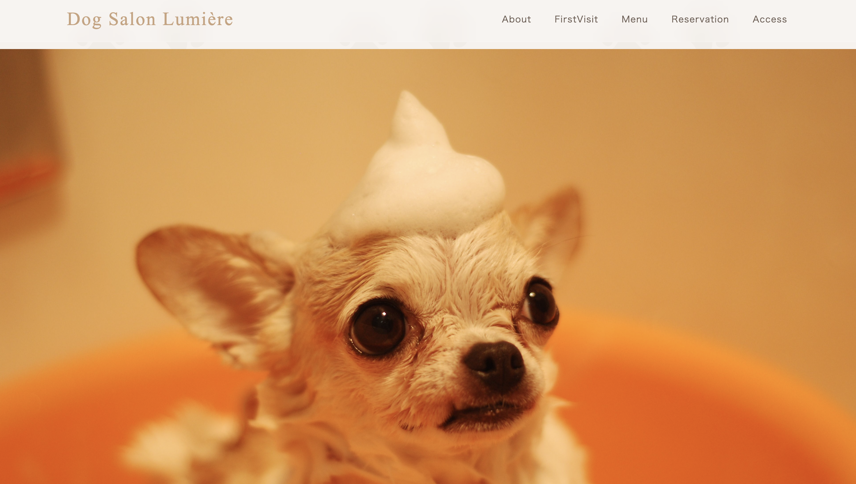 Dog Salon